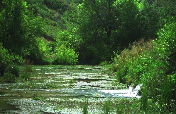 Cascade Springs, Utah