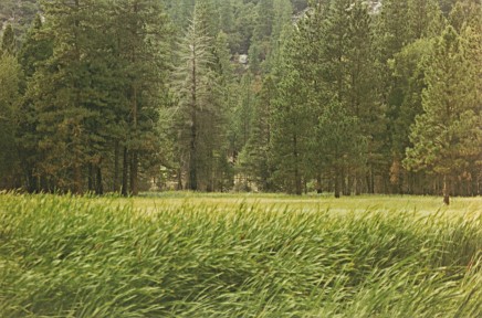 Zumwalt Meadow, Kings Canyon National Park, California