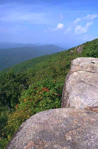 Shenandoah National Park, Virginia