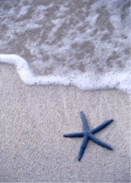 Clip Art Blue Starfish